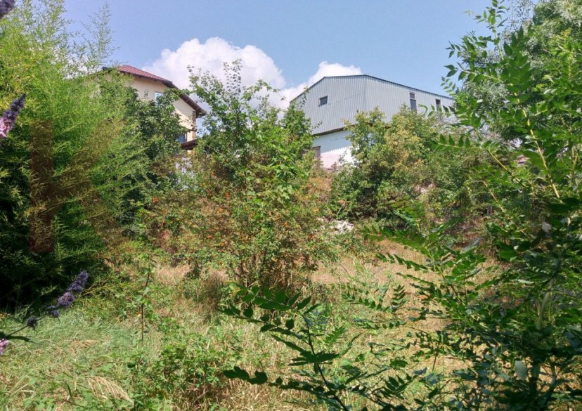 Продажа земельного участка, 5 сот. фото 2